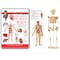 Wonders Of Learning Tin Set, Discover the Human Body TS01 - alternate 1